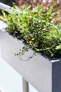 Balkonkasten Blumenkasten Fiberzement Milano "Benno", Grau