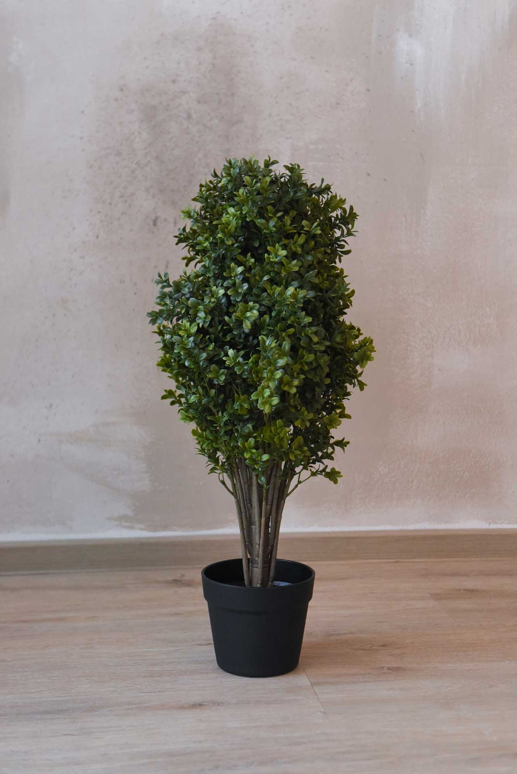 Kunstpflanze Buchsbaum im schwarzen Kunststofftopf BUXA