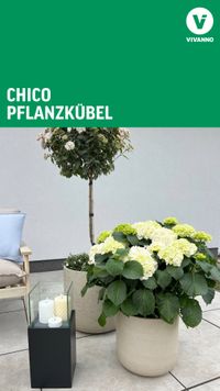 Blumentopf Pflanztopf Fiberglas CHICO Creme