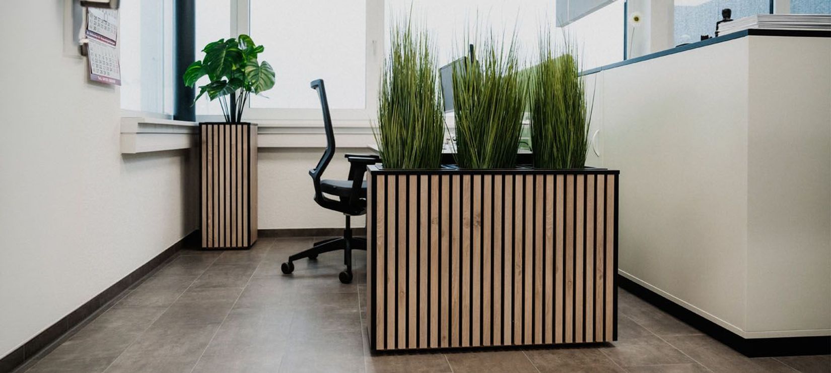 Pflanzkübel mit Schallschutz im Büro