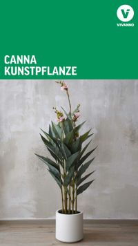 Canna Kunstpflanze Vorschau YT