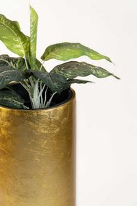 Pflanzgefäß Bodenvase SOLERIO Fiberglas Gold Hochglanz