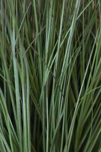 Kunstpflanze Kunstgras im Dekotopf Kunststoff TRAVA