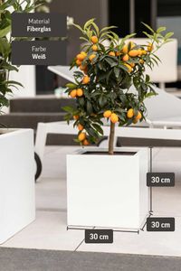 Pflanzkübel Blumenkübel Fiberglas "Block" Würfel, Weiß Matt