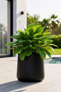 Pflanzkübel Blumentopf rund VEKRA Schwarz Matt Pflanzkübel Blumentopf rund VEKRA Schwarz Matt