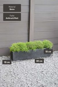 Blumenkasten Fensterbankkasten Beton "Flobo", Anthrazit
