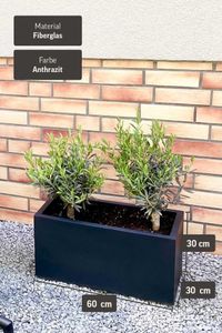 Pflanzkübel Pflanztrog Fiberglas "Maxi", Anthrazit