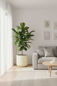 Blumentopf Pflanztopf Fiberglas CHICO Vesuvcreme