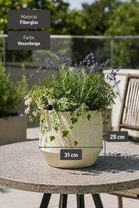 Blumentopf NEXORA Fiberglas 31x28 cm Beige