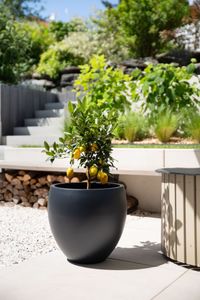 Blumentopf Fiberglas PLUTO Anthrazit