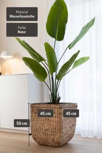 Pflanzkübel Blumenkübel Wasserhyazinthe "Asia", Natur