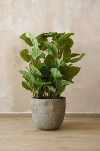 Pflanzkübel Blumentopf Fiberzement LONDA Erdgrau Pflanzkübel Blumentopf Fiberzement LONDA Erdgrau