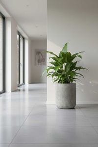 Blumentopf Pflanztopf Fiberglas CHICO Vesuvgrau Blumentopf Pflanztopf Fiberglas CHICO Vesuvgrau