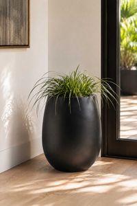 Blumentopf BALAO Fiberglas 40x50 cm Schwarz
