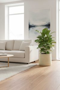 Blumentopf Pflanzkübel Fiberglas VEKRA Vesuvcreme