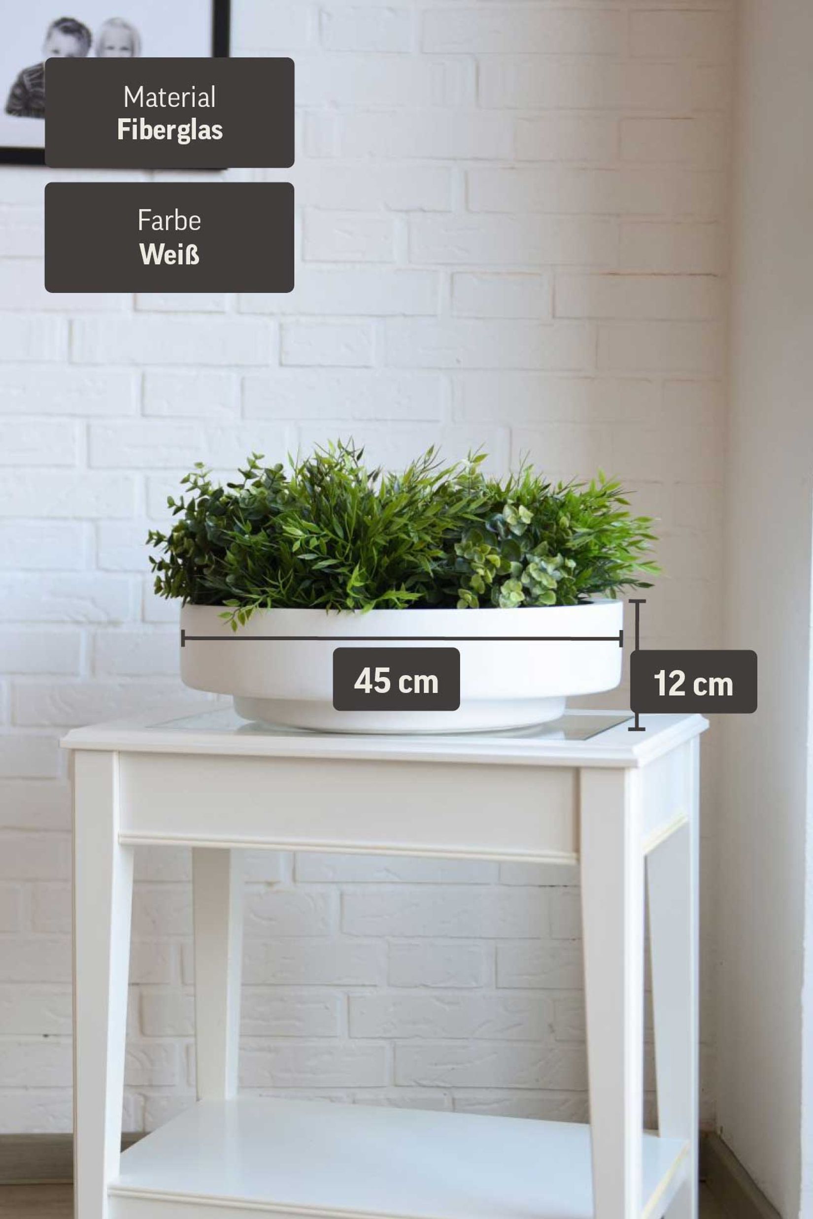 Pflanzschale Dekoschale rund Fiberglas ESCADA LOW Weiß Matt Pflanzschale Dekoschale rund Fiberglas ESCADA LOW Weiß Matt