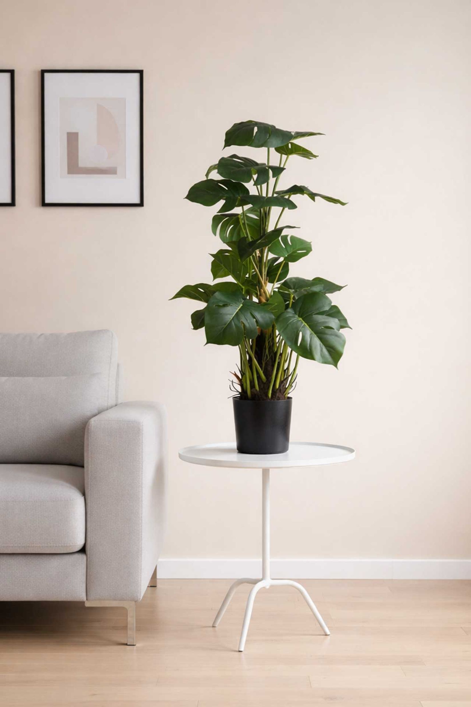 Kunstpflanze künstliche Monstera im Topf Kunststoff MONSTERA