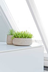 Pflanzschale PERA Fiberglas 27x11 cm Beige Pflanzschale PERA Fiberglas 27x11 cm Beige