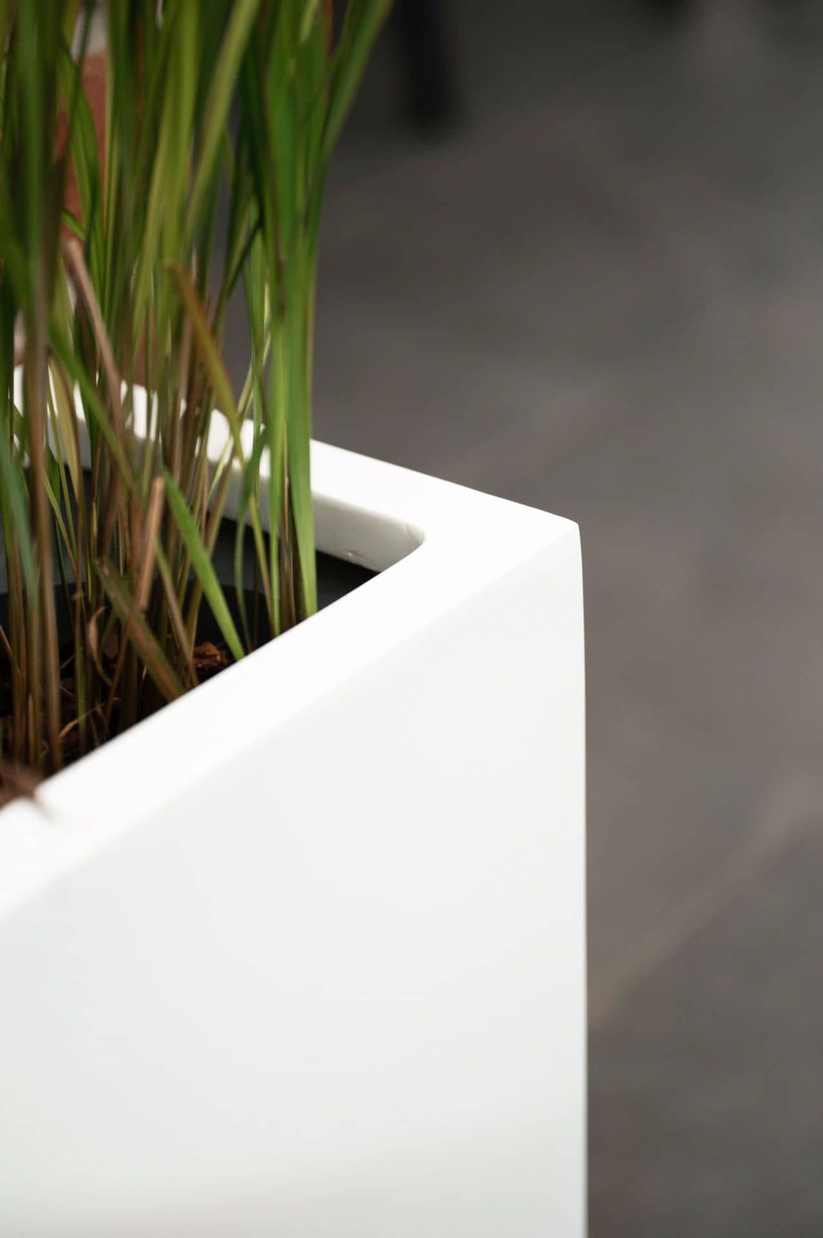 Pflanzkübel Raumteiler Fiberglas Weiß Matt ELEMENTO SLIM Pflanzkübel Raumteiler Fiberglas Weiß Matt ELEMENTO SLIM