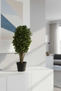 Kunstpflanze Buchsbaum im schwarzen Kunststofftopf BUXA