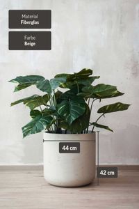Blumentopf Pflanztopf Fiberglas CHICO Creme