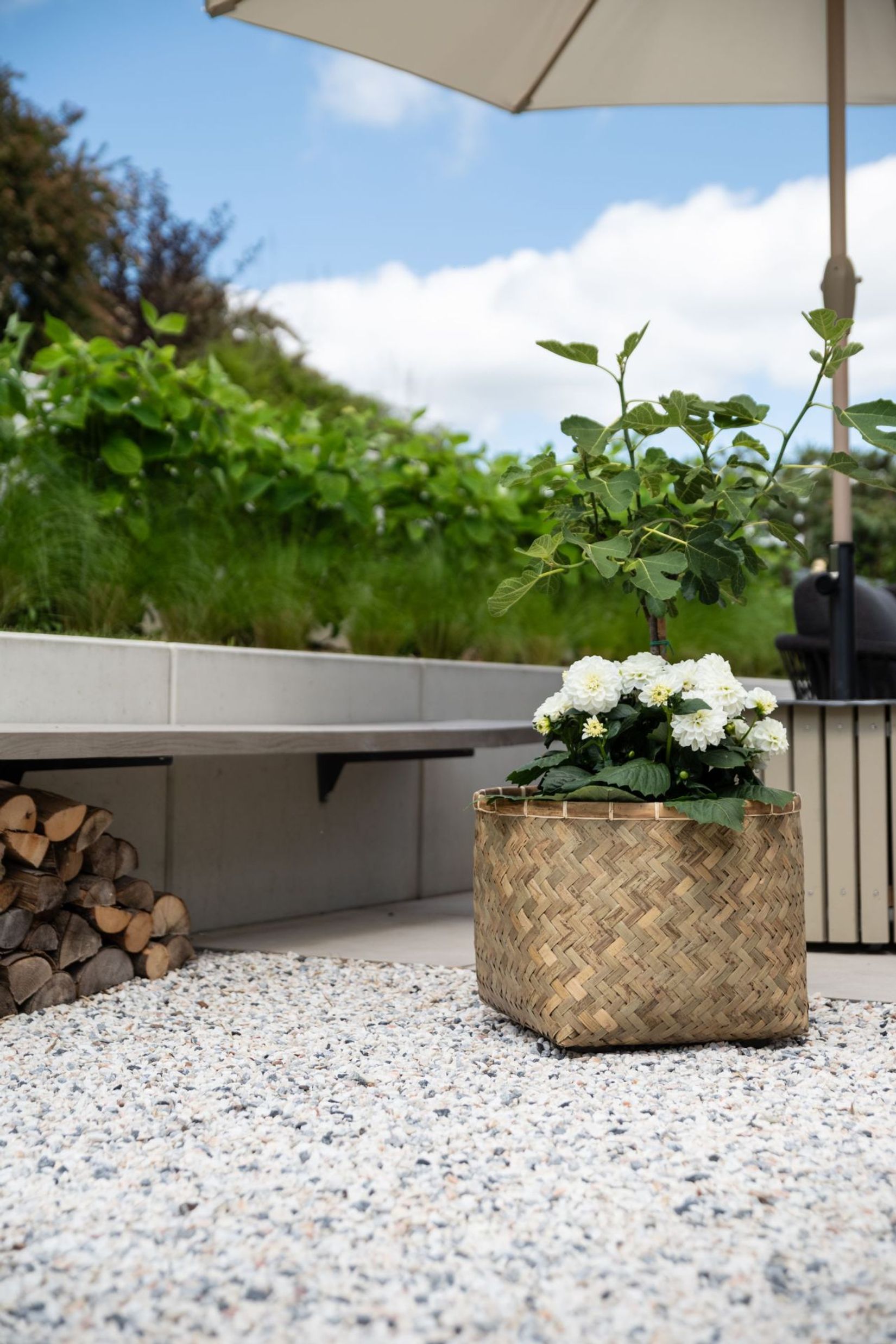 Pflanzkübel Pflanztopf Bambus Fiberzement CISTELLA Natur Pflanzkübel Pflanztopf Bambus Fiberzement CISTELLA Natur