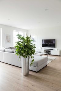 Pflanzgefäß Bodenvase SOLERIO Fiberglas Silber Hochglanz