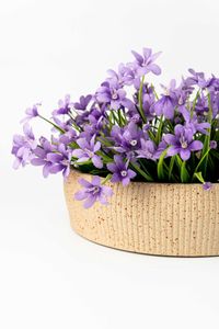 Pflanzschale Dekoschale Fiberglas ERYNA Arbanerelief