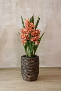 Kunstpflanze Orchidee Cymbidium im cremefarbenen Dekotopf ORCHIDEA orange