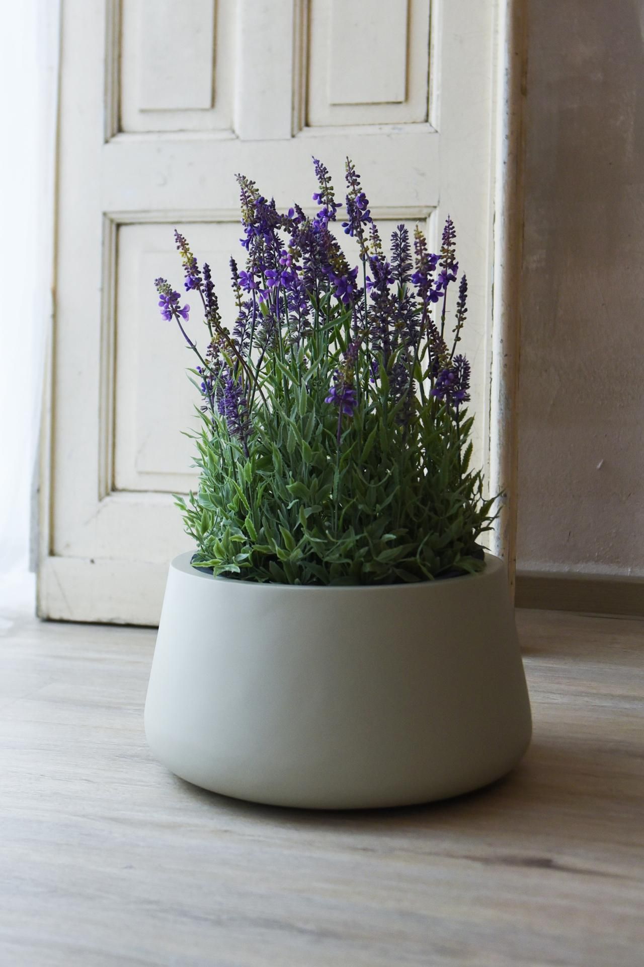 Künstliche Lavendelblüten UV-beständig – 42 Stück Für Garten, Balkon & Deko