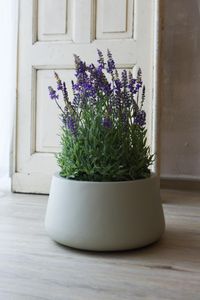 Lavendel in Pflanzschale künstlich Kunstpflanze LAVANDULA