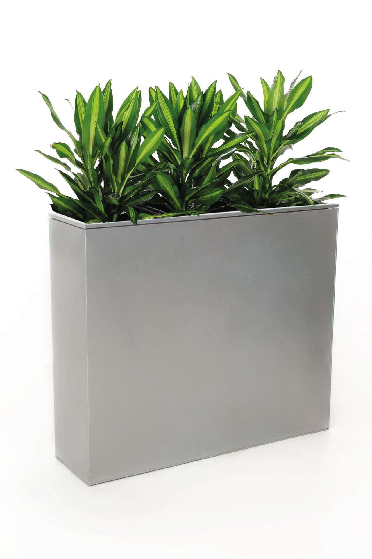 Zink Pflanzkübel Übertopf Im Rustikalen Look – Ca. 14 Cm Hoch, Durchmesser 18/12 Cm, Mit Griffen