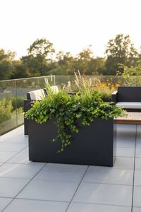 Raumteiler mit Rollen pulverbeschichteter Edelstahl "Elemento" niedrig, Anthrazit Raumteiler mit Rollen pulverbeschichteter Edelstahl "Elemento" niedrig, Anthrazit