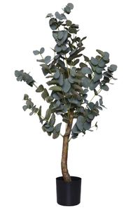 Kunstpflanze Eukalyptus im Topf EUKALY