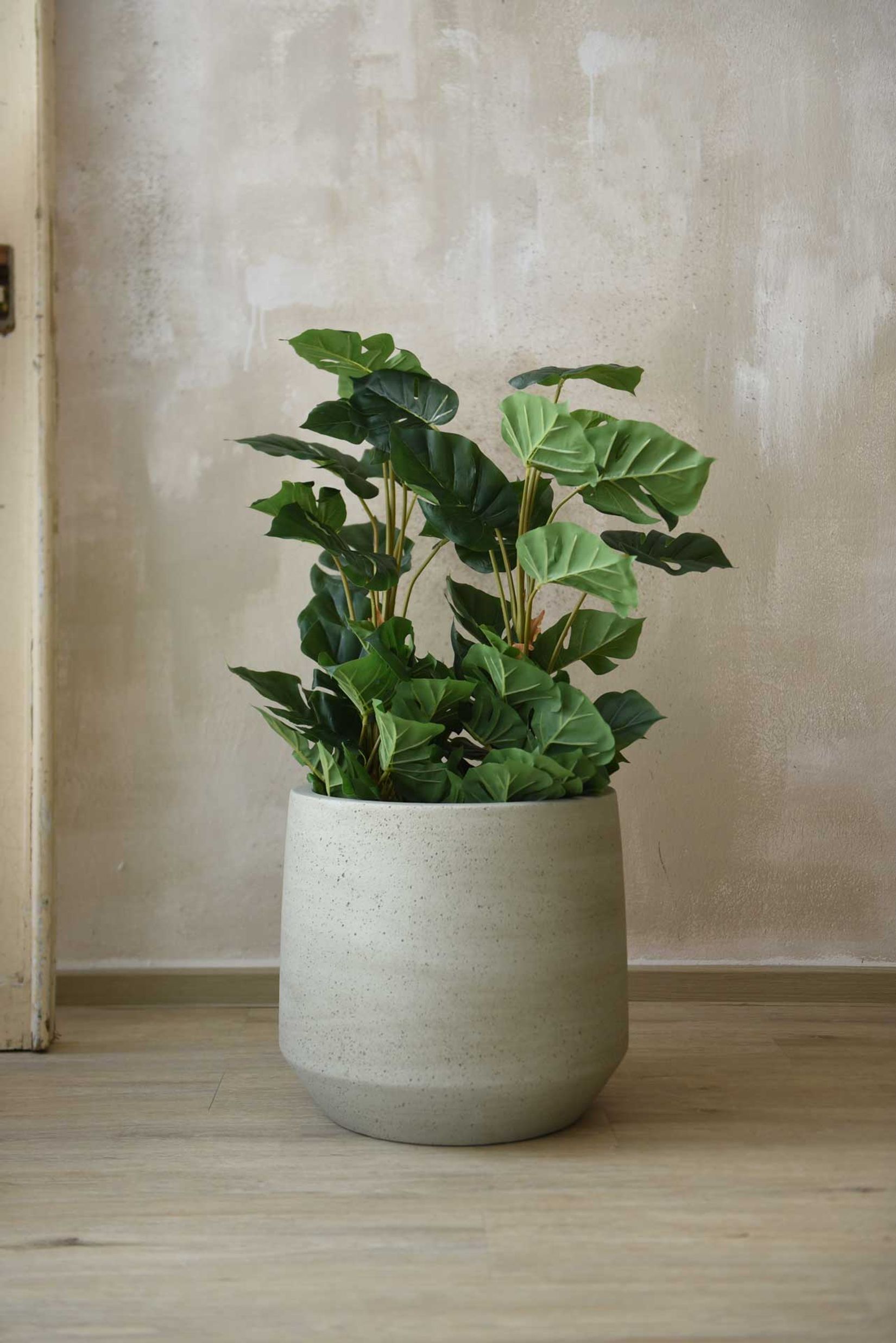 Pflanzkübel Blumentopf Fiberzement SASSO Dünenbeige