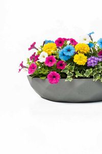 Pflanzschale Dekoschale Fiberglas CAVERO Betongrau