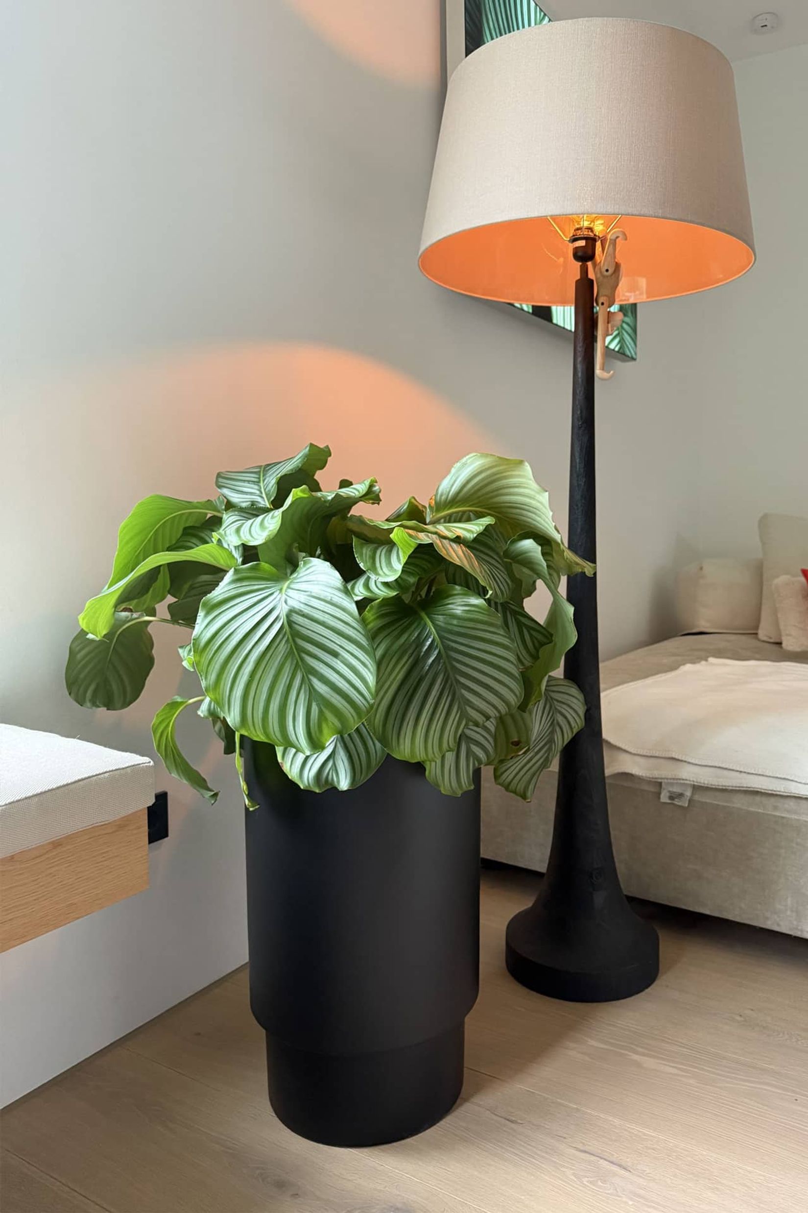 Blumentopf Pflanzkübel Fiberglas ESCADA Schwarz Matt Blumentopf Pflanzkübel Fiberglas ESCADA Schwarz Matt