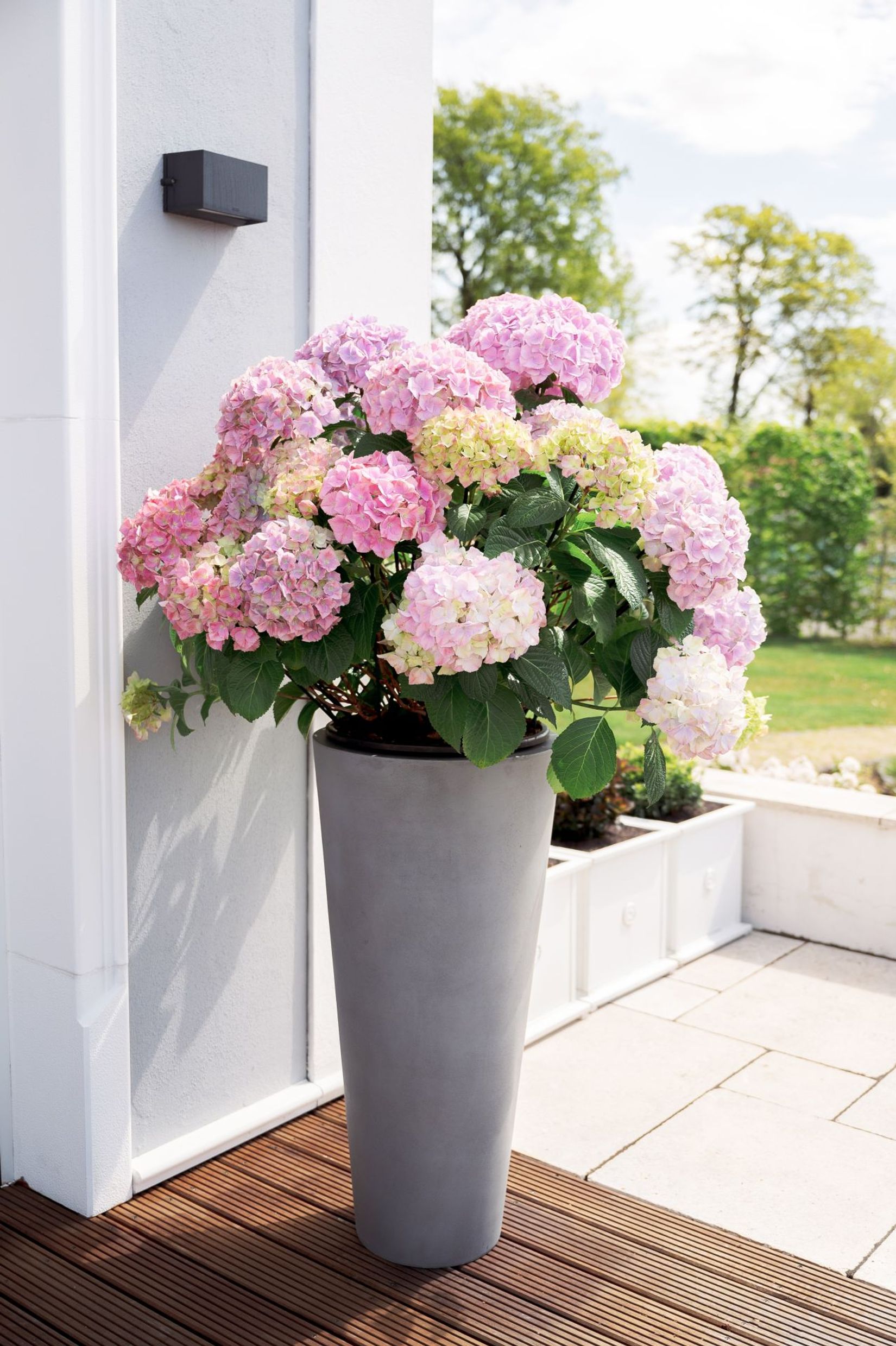 Pflanzkübel Blumenkübel Fiberglas "Rondo Classico", Beton-Design, Grau