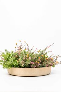 Pflanzschale Dekoschale Fiberglas ORYVEN Arbanecreme