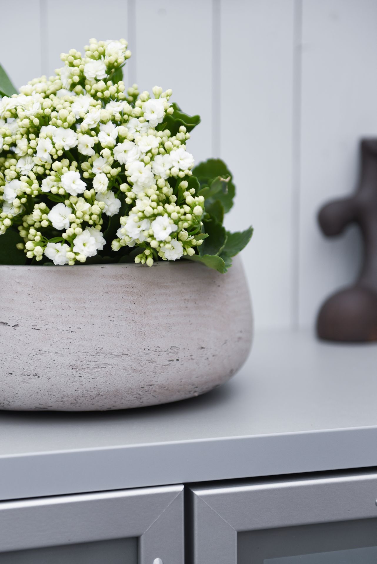 Pflanzschale Dekoschale PERA rund Fiberglas Creme | Pflanzschalen