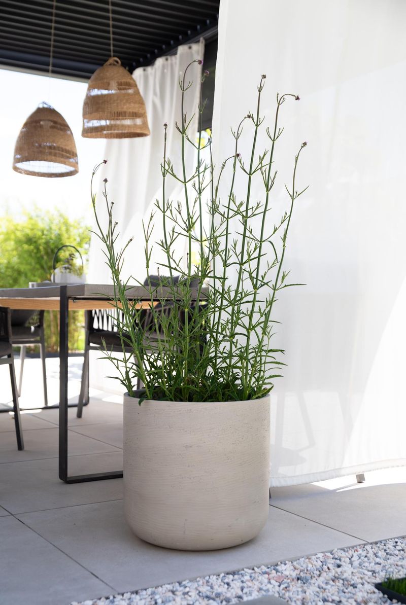 Blumentopf CHICO Fiberglas 44x42 cm Beige | 44x42 cm | 3024433430