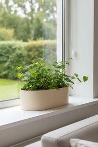 Pflanzschale Dekoschale Fiberglas SOLENA Arbanecreme