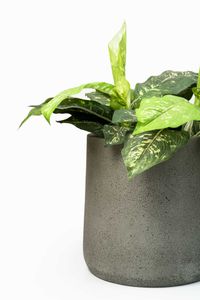 Blumentopf Pflanzkübel Fiberglas VEKRA Vesuvgrau