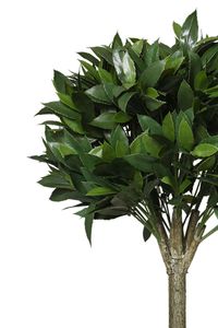 Kunstpflanze Lorbeer Baum im Topf LAURUS