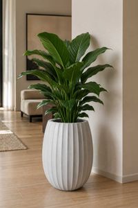 Blumentopf BALAO ARC Fiberglas 39x50 cm Grau