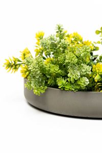 Pflanzschale Dekoschale Fiberglas ORYVEN Beton-Design Grau