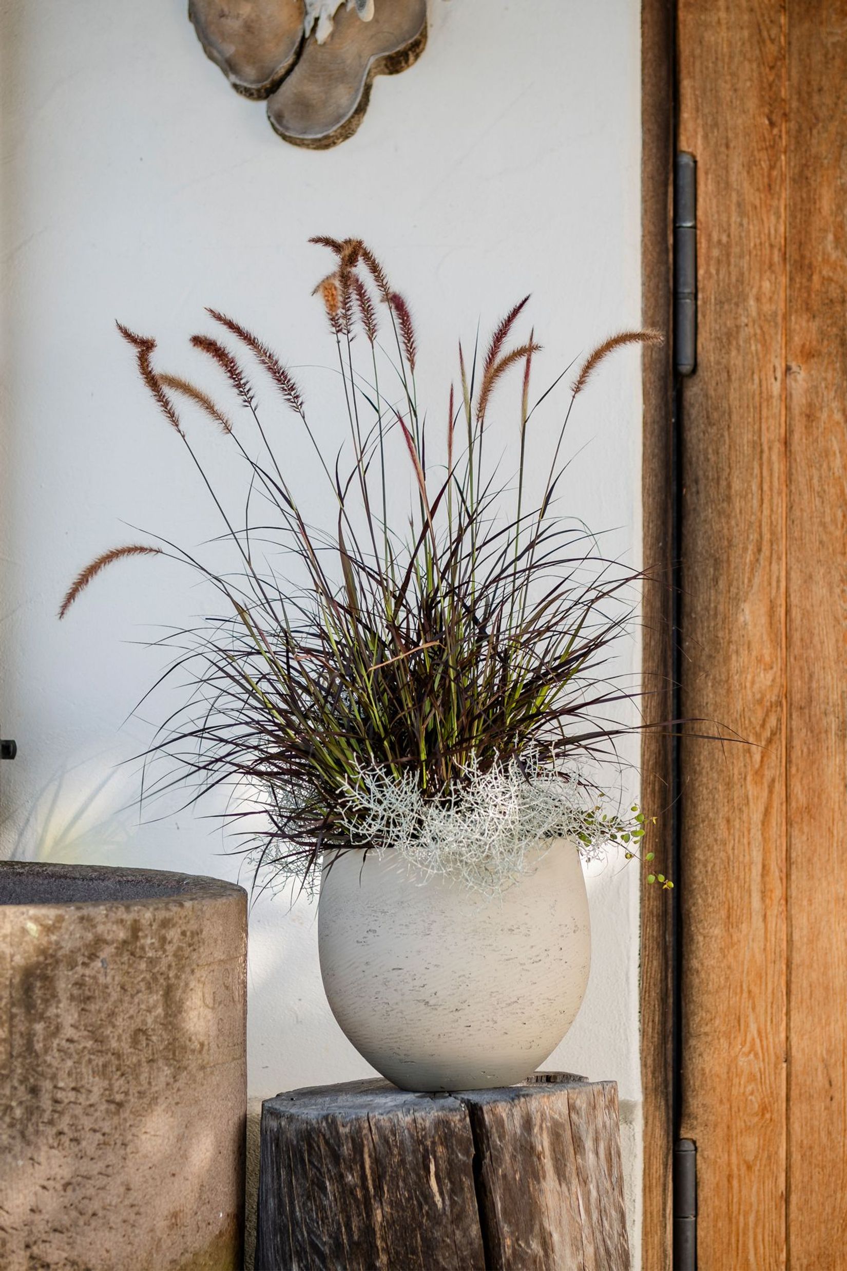 Pflanzkübel Blumentopf Fiberglas RAFIOT Creme