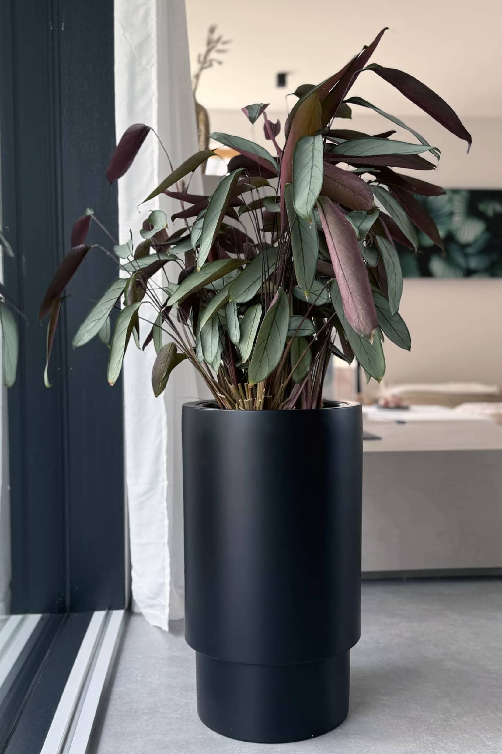 Blumentopf Pflanzkübel Fiberglas ESCADA Schwarz Matt Blumentopf Pflanzkübel Fiberglas ESCADA Schwarz Matt