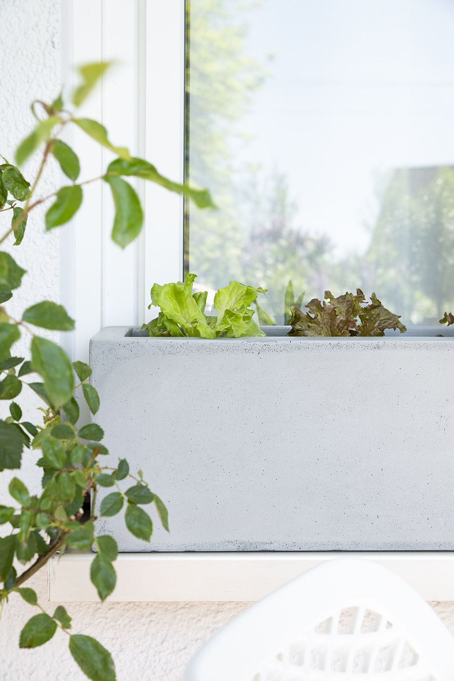 Spannende Blumenkasten Fensterbank Landhaus Ebenbild