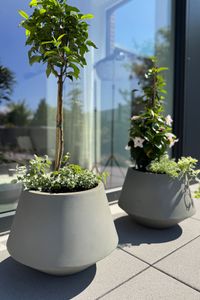 Pflanztopf Pflanzkübel Fiberglas BERBELIT cm Beton-Design Grau